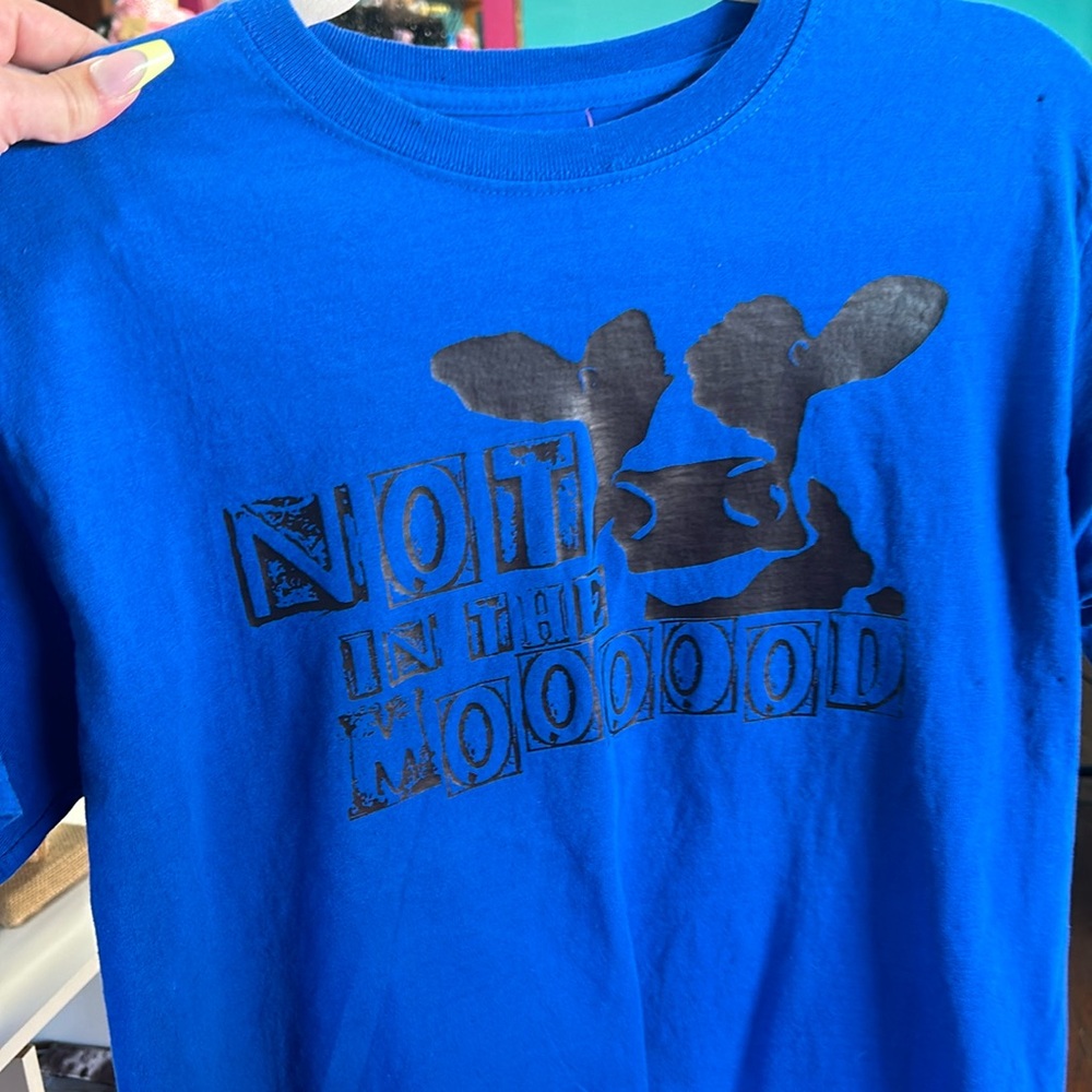 Youth Extra Large T-Shirt